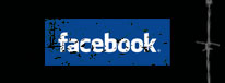 Bubbas Bull Riding on Facebook